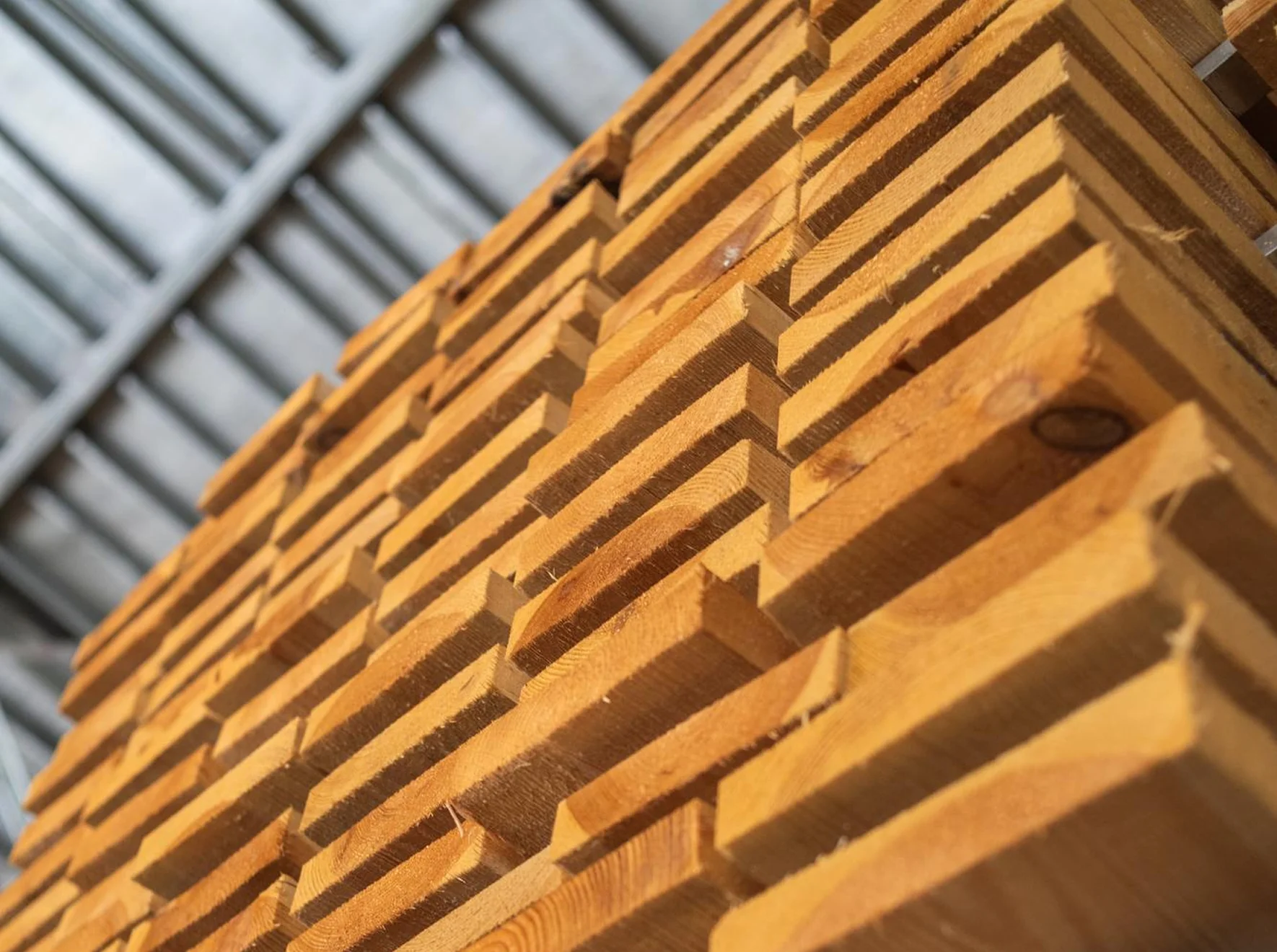 Wholesale of Wood, Construction Materials & Sanitary Equipment